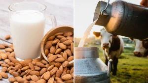 The U.S. Food and Drug Administration is proposing that plant-based milk manufacturers should be permitted to call their products "milk" despite its zero-dairy content.