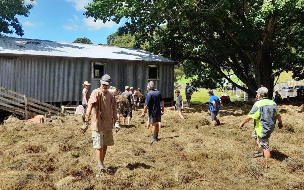 Teams in isolated country communities in Dartmoor spreading out wet flood damaged hay to prevent combustion, at Dartmoor, inland from Napier.