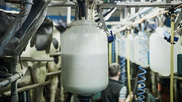 Input costs for dairy farmers producing fresh milk through the winter months remain at an all-time high.