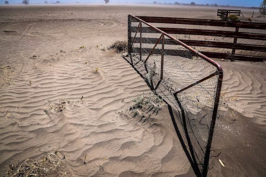 A drought-affected property on the Moree Plains, on the outskirts of the north-western NSW town of Collarenebri, in October 2019.