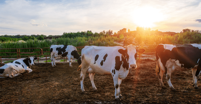 Northern Biogas Acquires Three Additional Dairy Renewable Natural Gas Projects