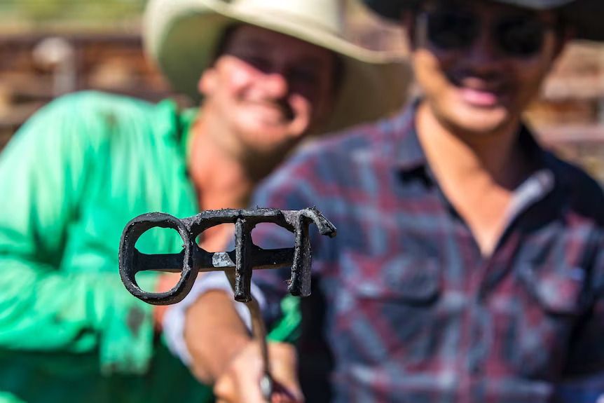 A three-piece cattle brand, which is used to prove ownership of livestock.