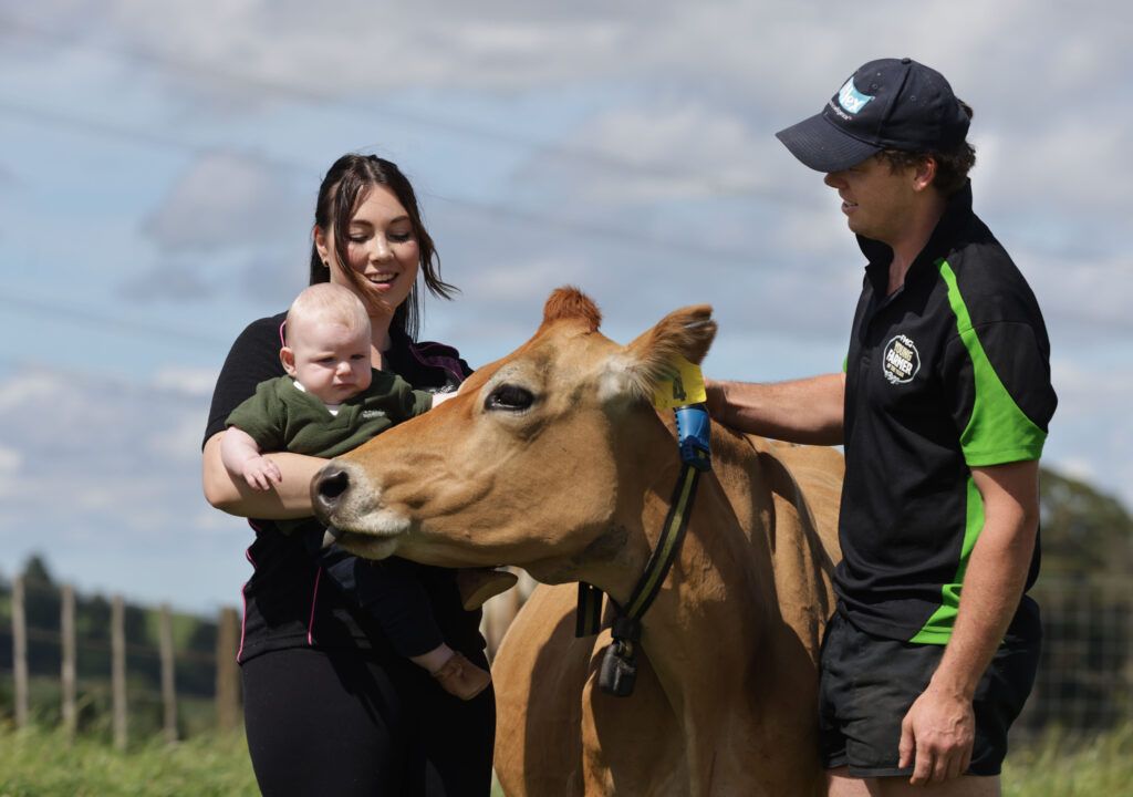 Sam Waugh and wife Liana with son Albie and one of the friendly cows.