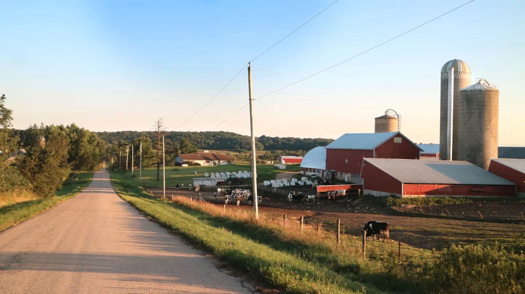 The Average Dairy Farm Has Only Turned a Profit Twice in the Past 20 Years