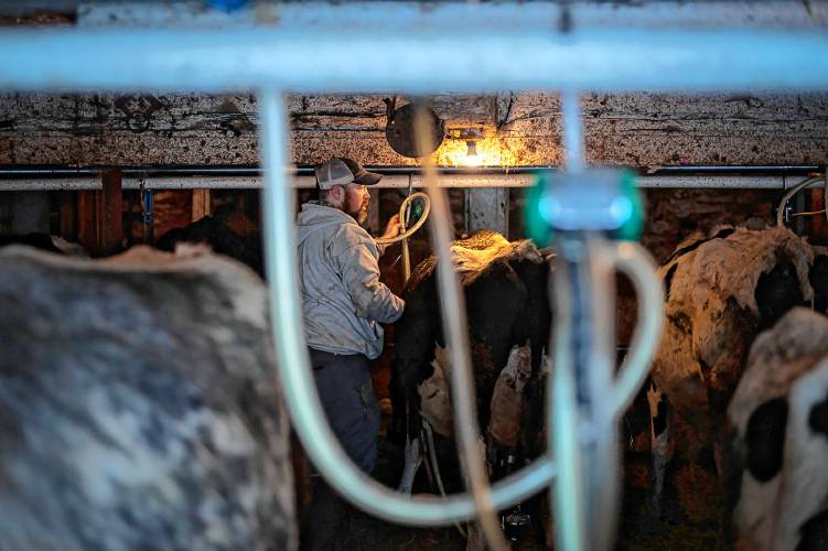 Damien Boomhower does the morning milking at Bittersweet Valley Farm in Fairfield, Vt., on Tuesday, Feb. 7, 2023. (VtDigger - Glenn Russell) VtDigger photos – Glenn Russell