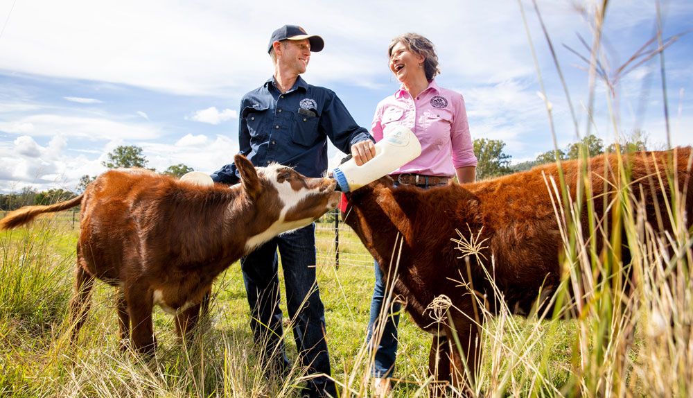 A win in the Innovations category in the Australian Farmer of the Year (AFY) awards for Tommerup Dairy Farm was a well deserved prize for Dave and Kay Tommerup