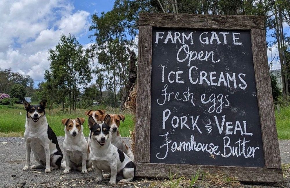 Enter the age when farming operations become a mecca for information and hands-on experience for suburban dwellers that have lost their link to mother earth