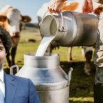 Trudeau’s vegan push is killing dairy farmers in Canada