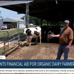 USDA grant financial aid for organic dairy farmers