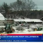 Animals killed after heavy snow causes barn collapse at Dracut dairy farm