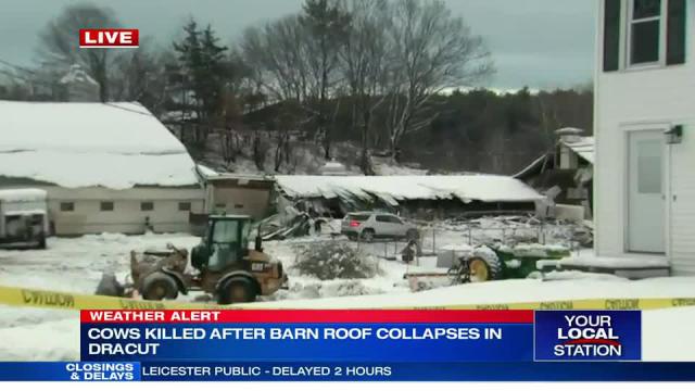 Animals killed after heavy snow causes barn collapse at Dracut dairy farm