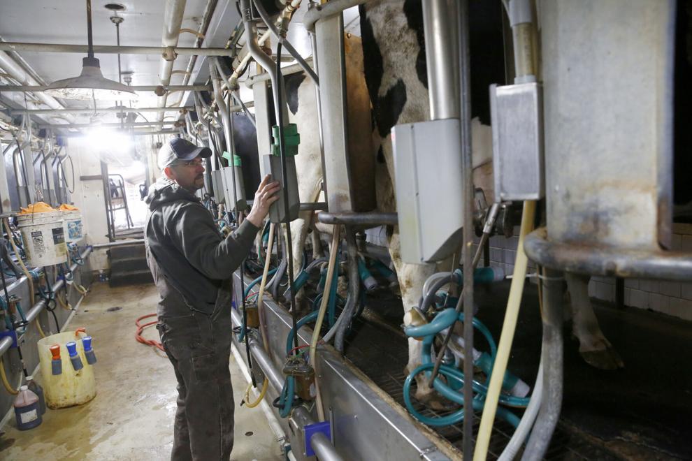 Joel Stanley works on some milking equipment at White Oak Dairy, the last dairy farm in Hanover County. His family purchased the farm in 1941.