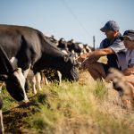 Biosecurity workshops for dairy farmers