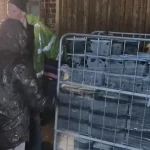 BLUEBELL DAIRY Image caption. Ella Brown suspected the freezer was damaged during a power cut over the weekend