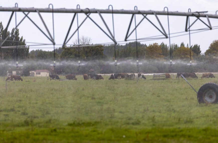 There are six centre pivots on Rushbrook that draw from the deep wells Garrett drilled to replace the original shallow wells to release the pressure on the aquifers beneath the farm