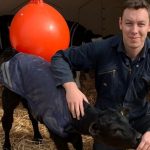 Dairy farmers are being asked for their views on contact between cows and calves for a student research project.