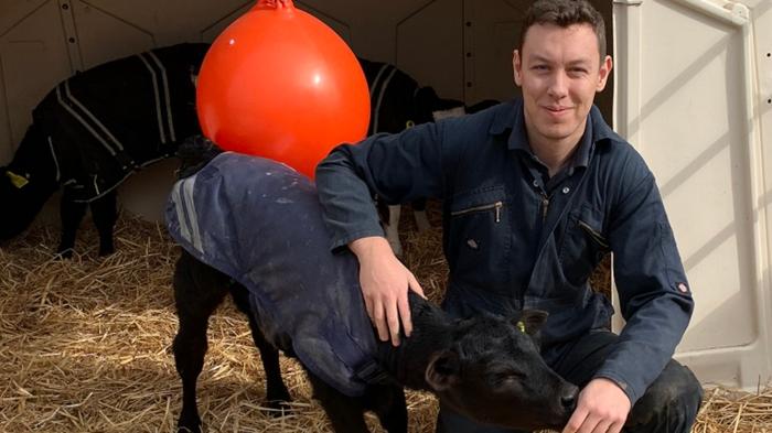 Dairy farmers are being asked for their views on contact between cows and calves for a student research project.