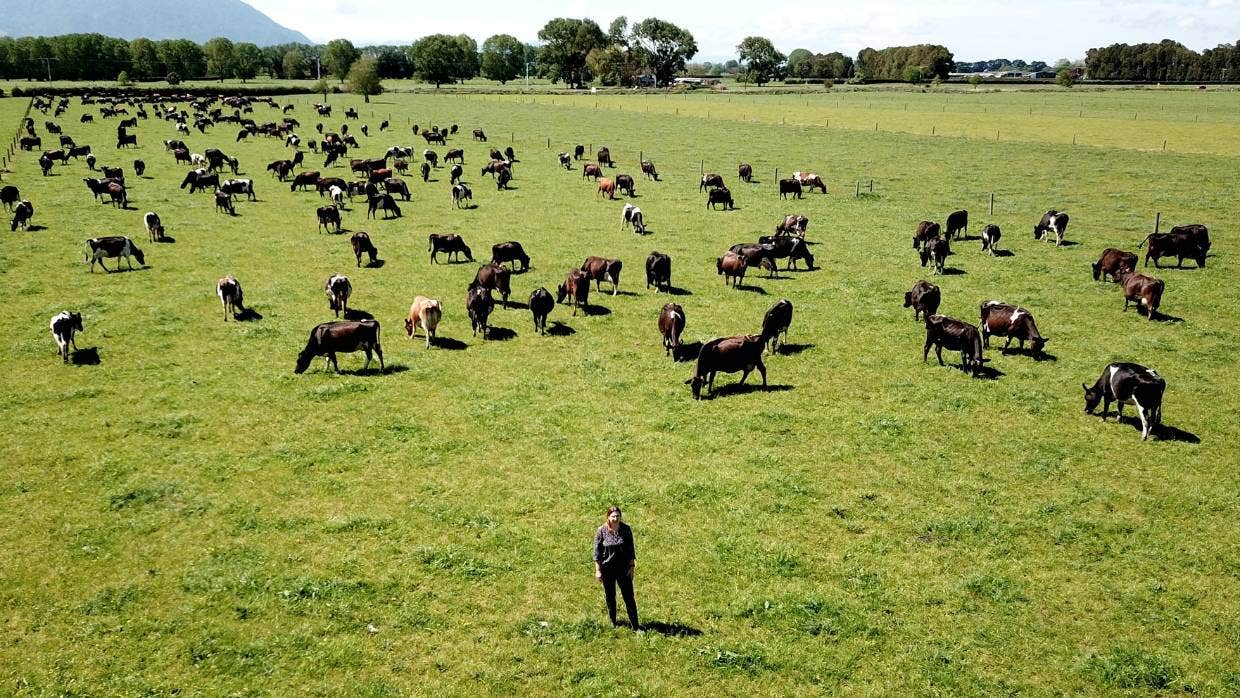 Use fertiliser only where it is needed, and when there is enough moisture for it to be used by grass for growing, then you reduce how much fertiliser is used in the long run, says Melissa Slattery.