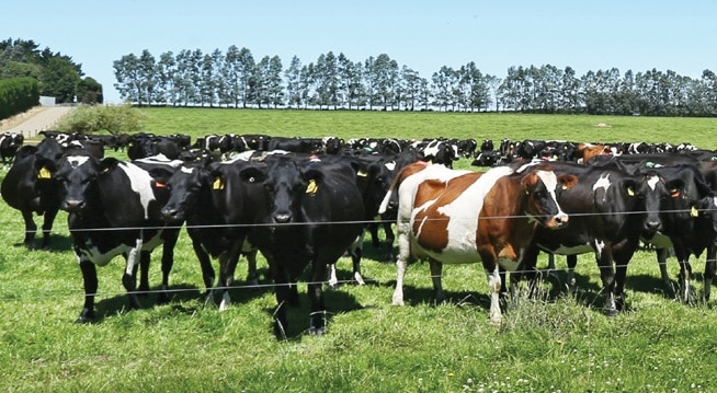 Farmers’ Forums to showcase future farming solutions