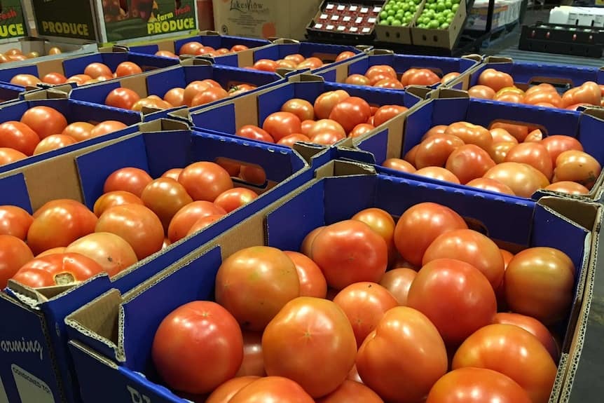 Tomato prices have skyrocketed as growers struggle with high power and gas prices.