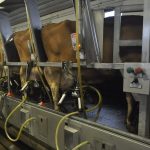 February 2023 SD milk production increased over 2022