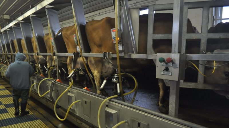 February 2023 SD milk production increased over 2022