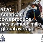 HOW NORTH AMERICAN MILK BECAME THE MODEL OF SUSTAINABILITY