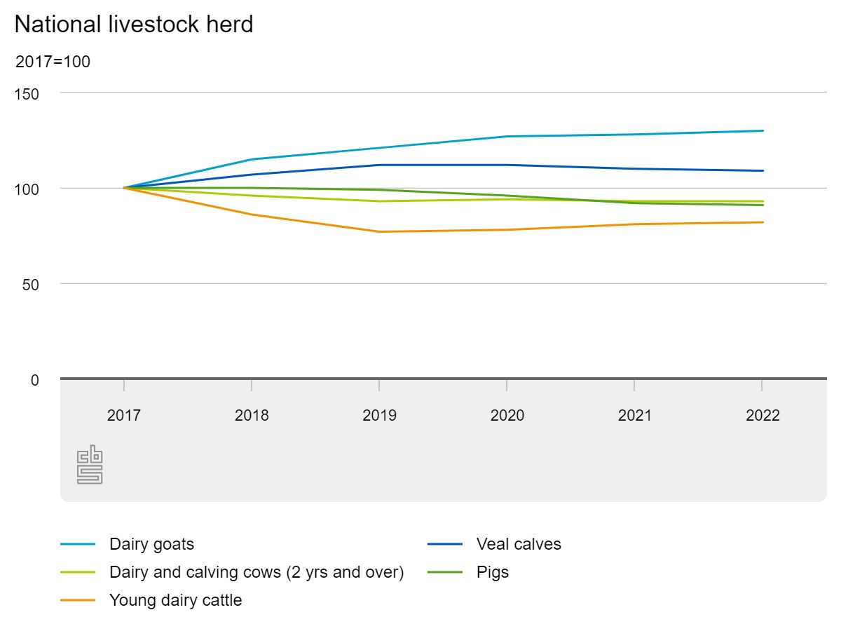 Hardly fewer dairy cows, but smaller pig herd in 20221