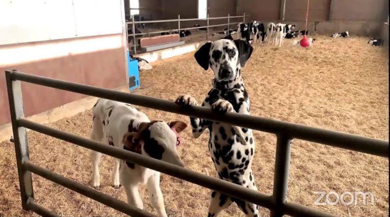 Indiana Dairy Producer Lance Sommer on the Importance of Teaching Kids About the Dairy Industry