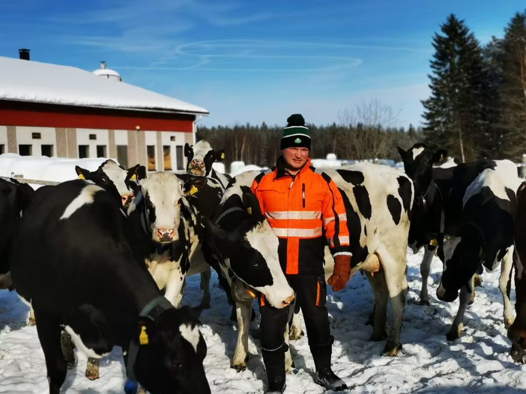 Dairy farmer Jani Sääskilahti in Ranua, Finnish Lapland