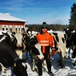 Dairy farmer Jani Sääskilahti in Ranua, Finnish Lapland