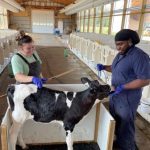 NNYADP announces dairy research results