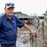 Milk production at Peter Graham's dairy is still down 50 per cent after the February-March 2022 floods.