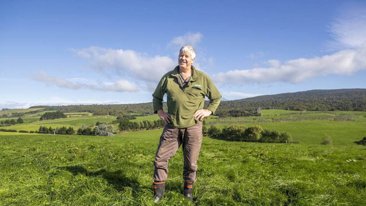 Numbers up for endangered whitebait and kanakana in dairy farmers' streams1