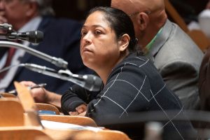 State Rep. Sylvia Ortiz-Velez said that having more Spanish-speaking law enforcement officers could be helpful when authorities are called to incidents involving the largely immigrant workforce on dairy farms. Credit:Mark Hoffman/Milwaukee Journal Sentinel