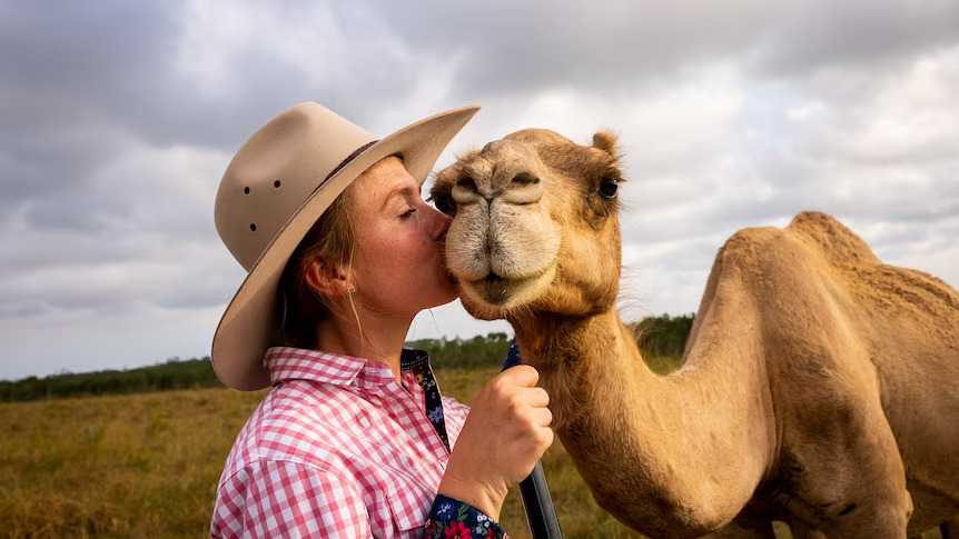 Patrick the camel found fame online after Yasmin Brisbane filmed one of his escapades.