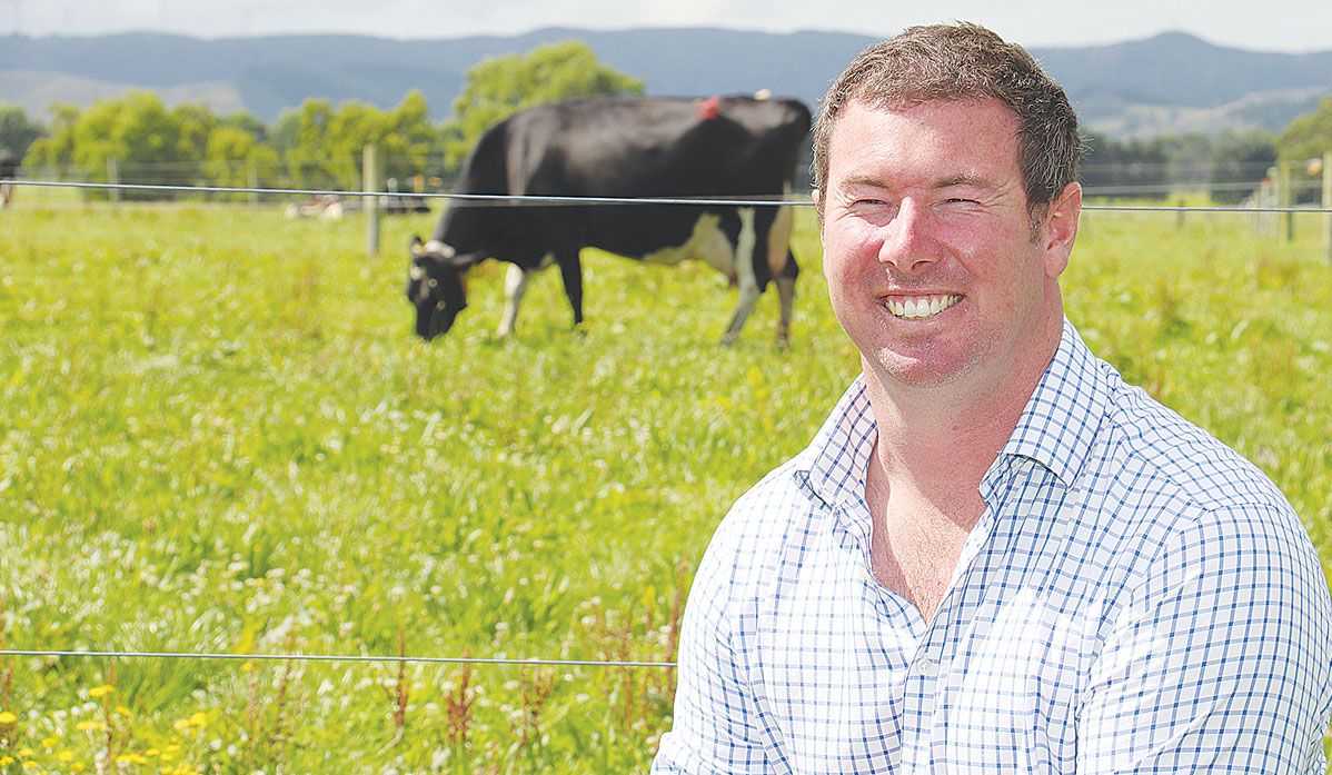 Dannevirke farmer Thomas Read is a strong advocate for plantain.