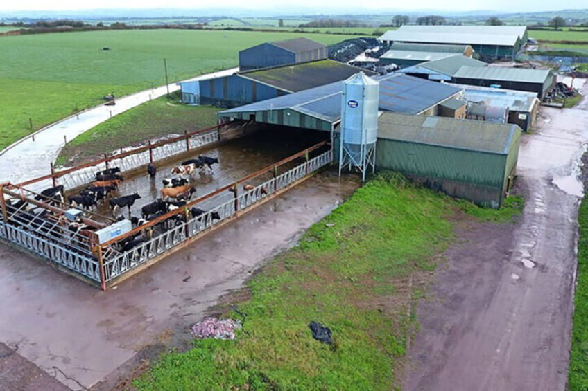 The farm set-up is fully linked to grazing. Around the buildings there are 145 hectares of grazing land.