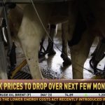 Tightening Margins It could be lower prices ahead for dairy farmers