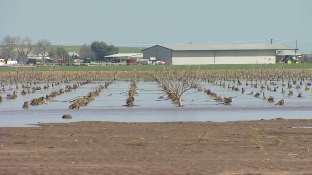 It's a billion-dollar industry that's being impacted by aggressive water. Now data from farmers is showing how bad the recent storms have been for business.