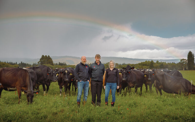 Aquila Sustainable Farming group is the largest supplier of certified organic milk in New Zealand. It focuses on breeding cows that fit into the organic system by using Norwegian genetics. From left, Knut Ingolf Dragset from Geno, Craig McKimmie from Samen NZ, and Aquila general manager Jess Craig.