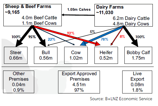 What is a dairy-beef calf worth