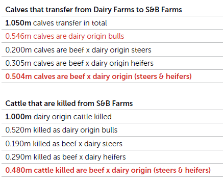 What is a dairy-beef calf worth