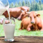 Why Aussie dairy farmers aren’t worried by the drop in domestic milk consumption