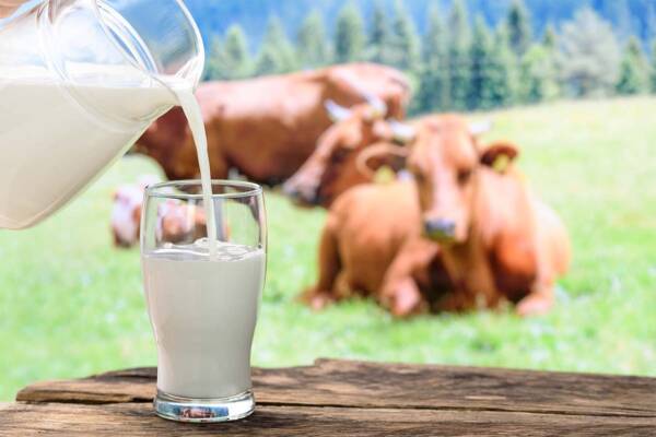 Why Aussie dairy farmers aren’t worried by the drop in domestic milk consumption