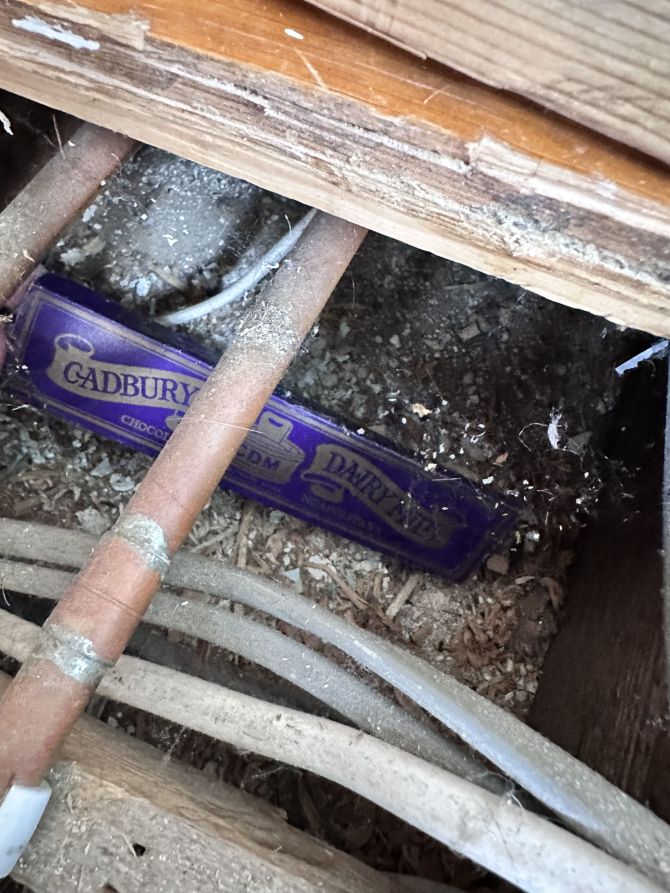 Woman Finds 100-Year-Old Dairy Milk Box Under Her Bathroom Floor2