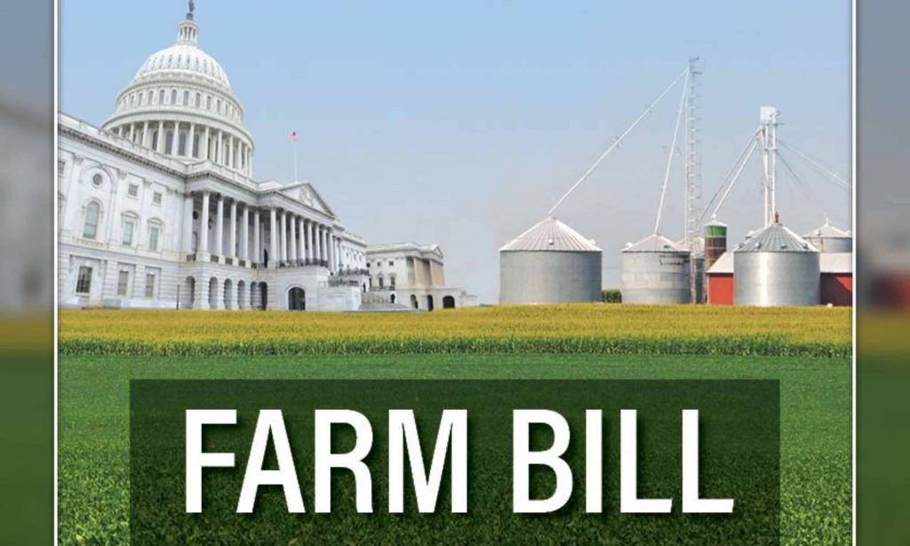 3 Topics Producers Should be Tracking in the Farm Bill