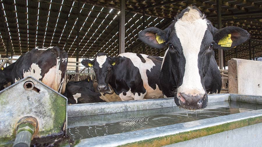 4 ways dairy farmers can cut energy costs