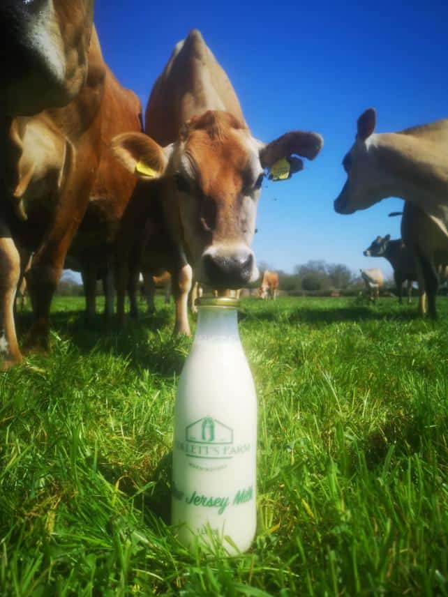 Moo - the cows at Colletts Farm Dairy pose with the fruits of their labour (Image: Colletts Farm Dairy)