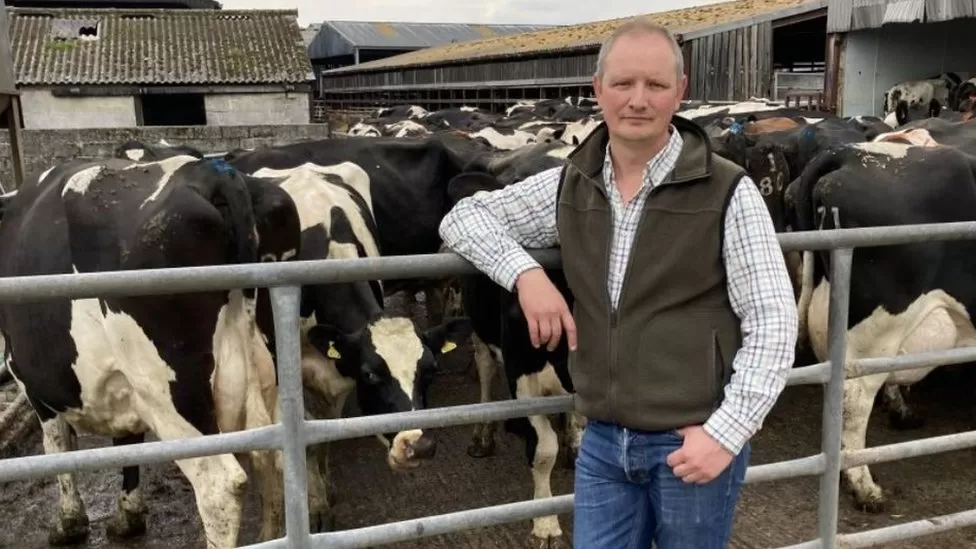 Cost of living Somerset dairy farmer on 'knife edge' as milk price drops